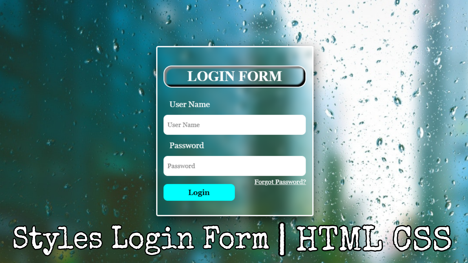 How to Create Login Form in HTML and CSS : Source Code