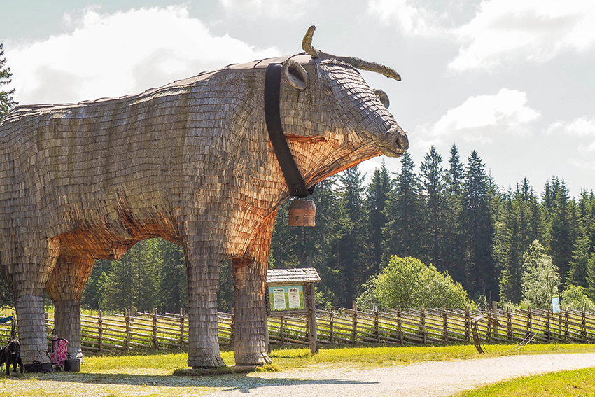 Dgfc Ossiacher See 2018