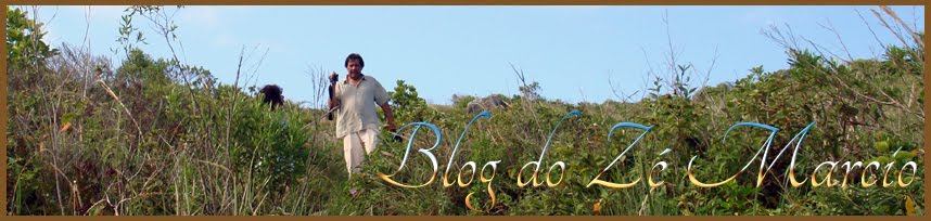 Blog José Márcio Castro Alves