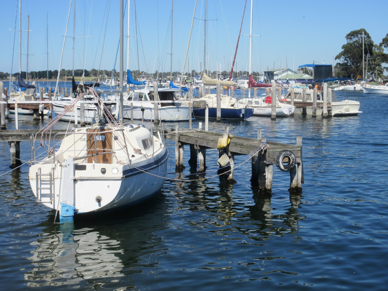 Stunning Paynesville and Raymond Island in the Gippsland Lakes District