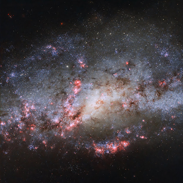 Interacting Spiral Galaxy NGC 4490