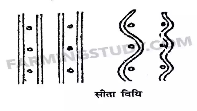 सिंचाई किसे कहते हैं, सिंचाई की परिभाषा, irrigation in hindi, methods of irrigation in hindi, सिंचाई की प्रमुख विधियां, सिंचाई के प्रकार, farmingstudy