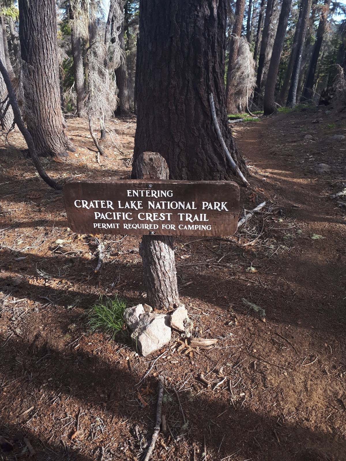 Jack Silver Fox Turley S Pct Hikes Pct 2019 Ver 2 Day 5 July 14