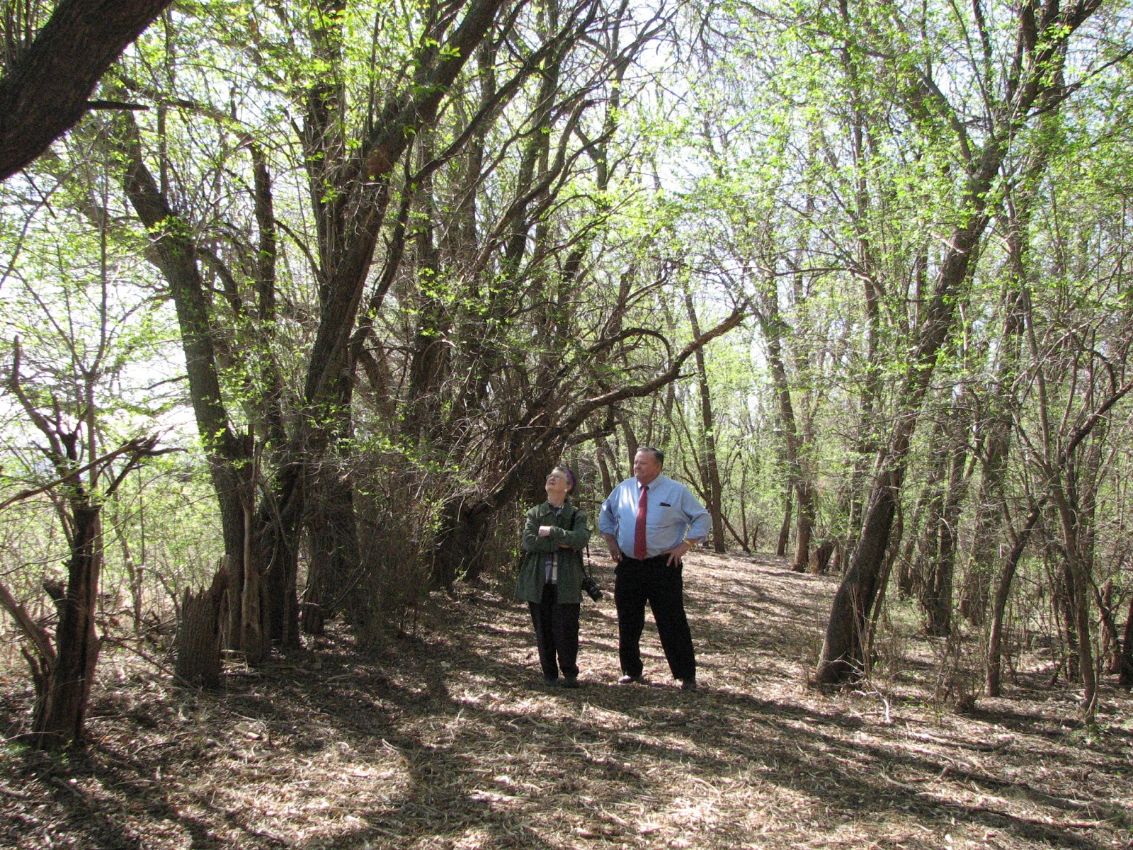 Dead towns of Kansas: Waterloo, Kansas. A Kingman County Ghost Town in