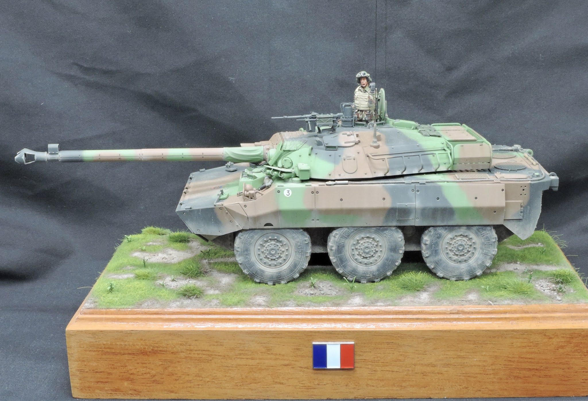 Pete's Model World : Tiger Models AMX-10 RCR Complete