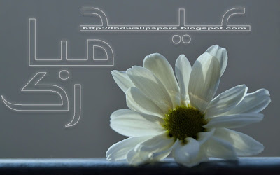 Eid Ul Adha Zuha Mubarak Flowers Wallpapers Greeting Cards 2012 in Urdu 020