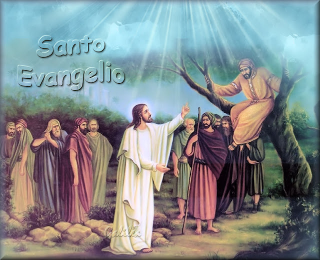 Jesús el Tesoro Escondido Santo Evangelio 3 de Noviembre 2019
