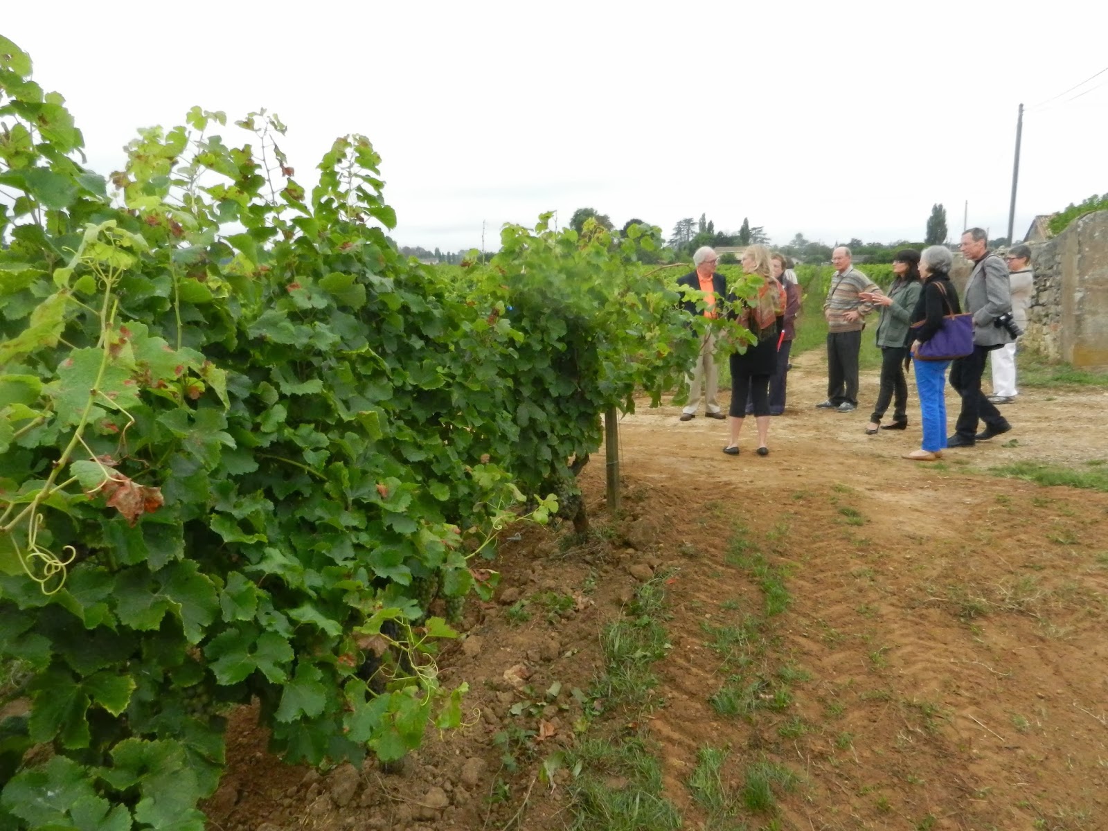 schiller-wine: Visiting and Tasting at Château Climens, with Owner ...