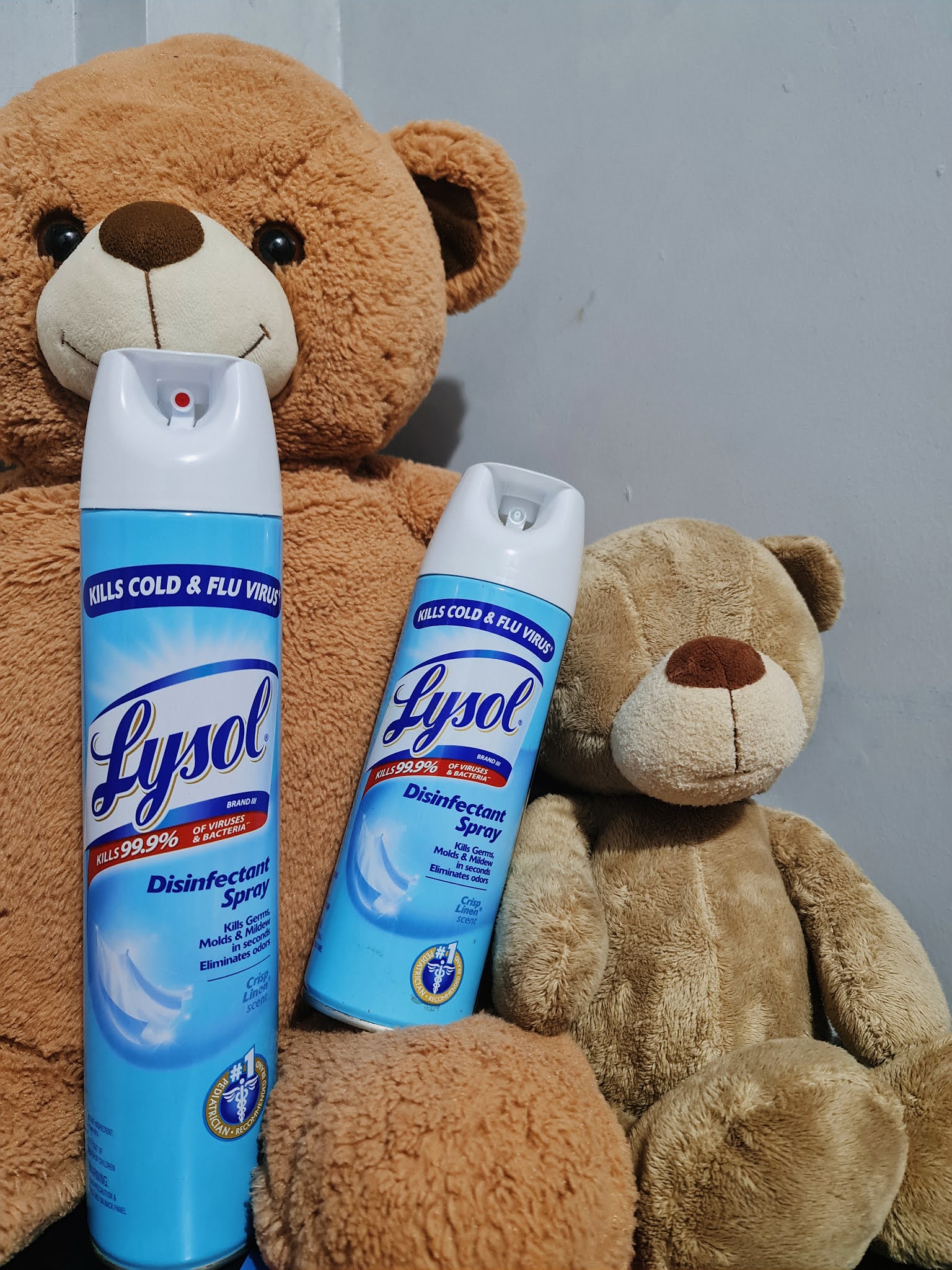 3 Reasons Why you should buy the Lysol Disinfectant Spray in Bundle