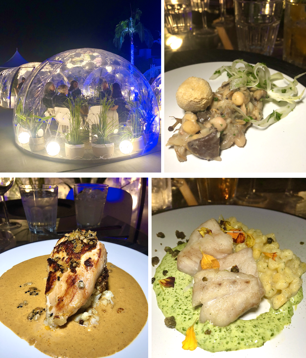 Christmas Dinner San Diego Thanksgiving in San Diego 15 Great