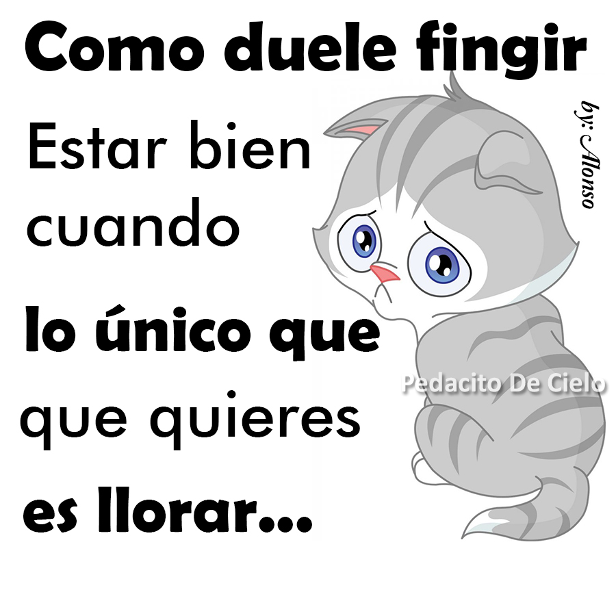 Bienvenidos: SOLO QUIERO LLORAR