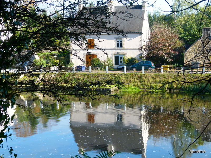 Le retour chez Canelle St Nicolas des eaux