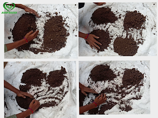 Soil sampling | Soil Testing in hindi 