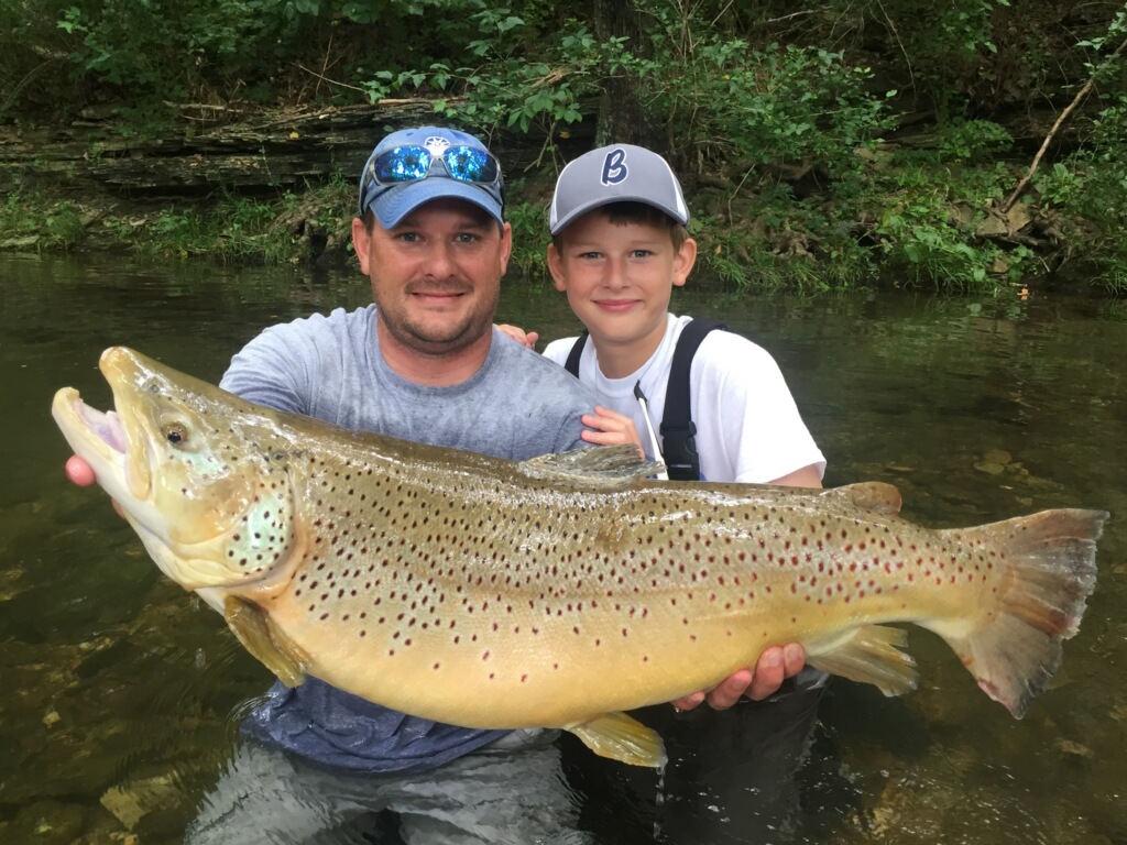 A Fly Fishing Report and Blog for the White and Norfork Rivers in