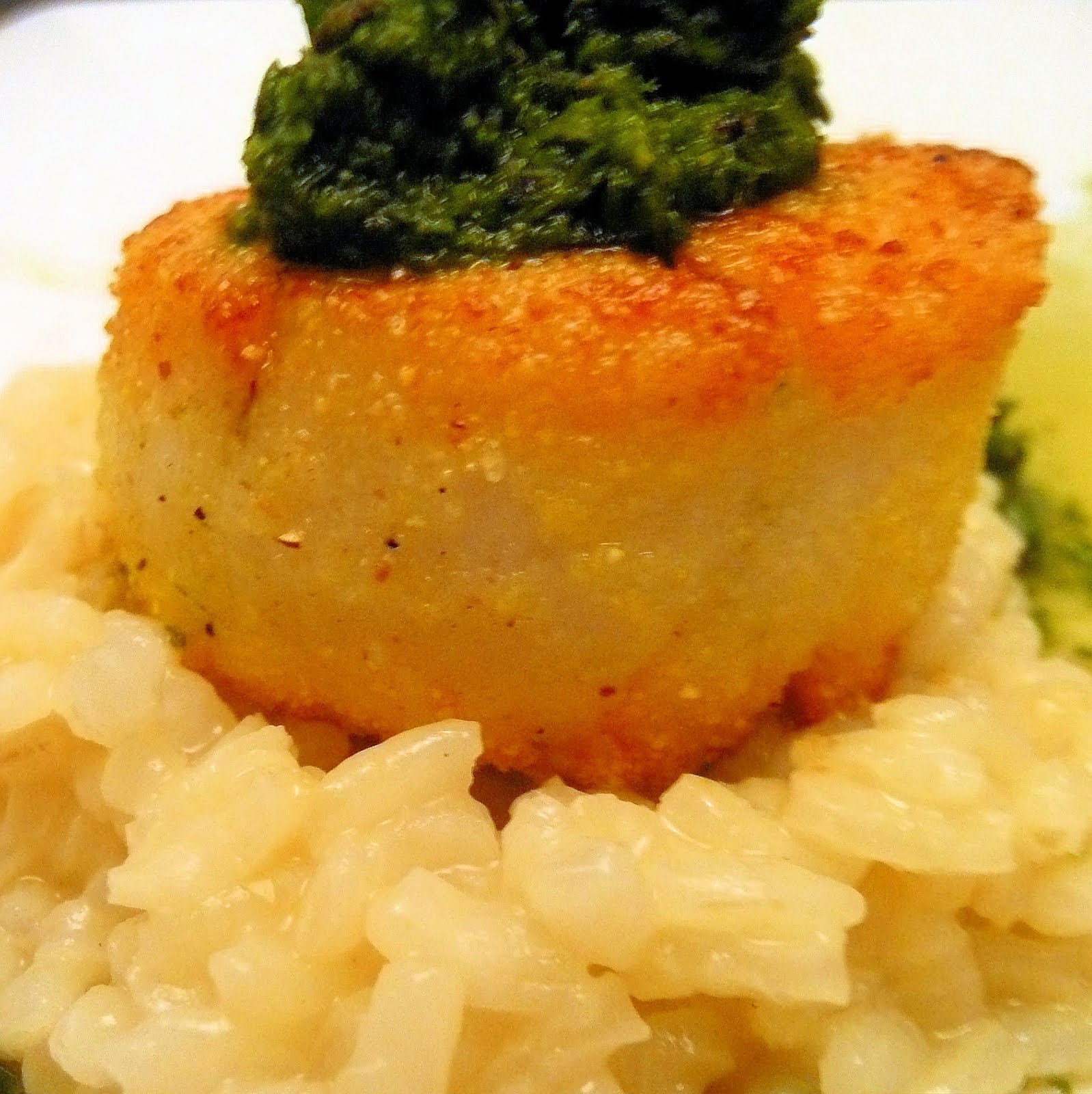 CornmealCrusted Scallops with Mint Chimichurri I Can Cook That