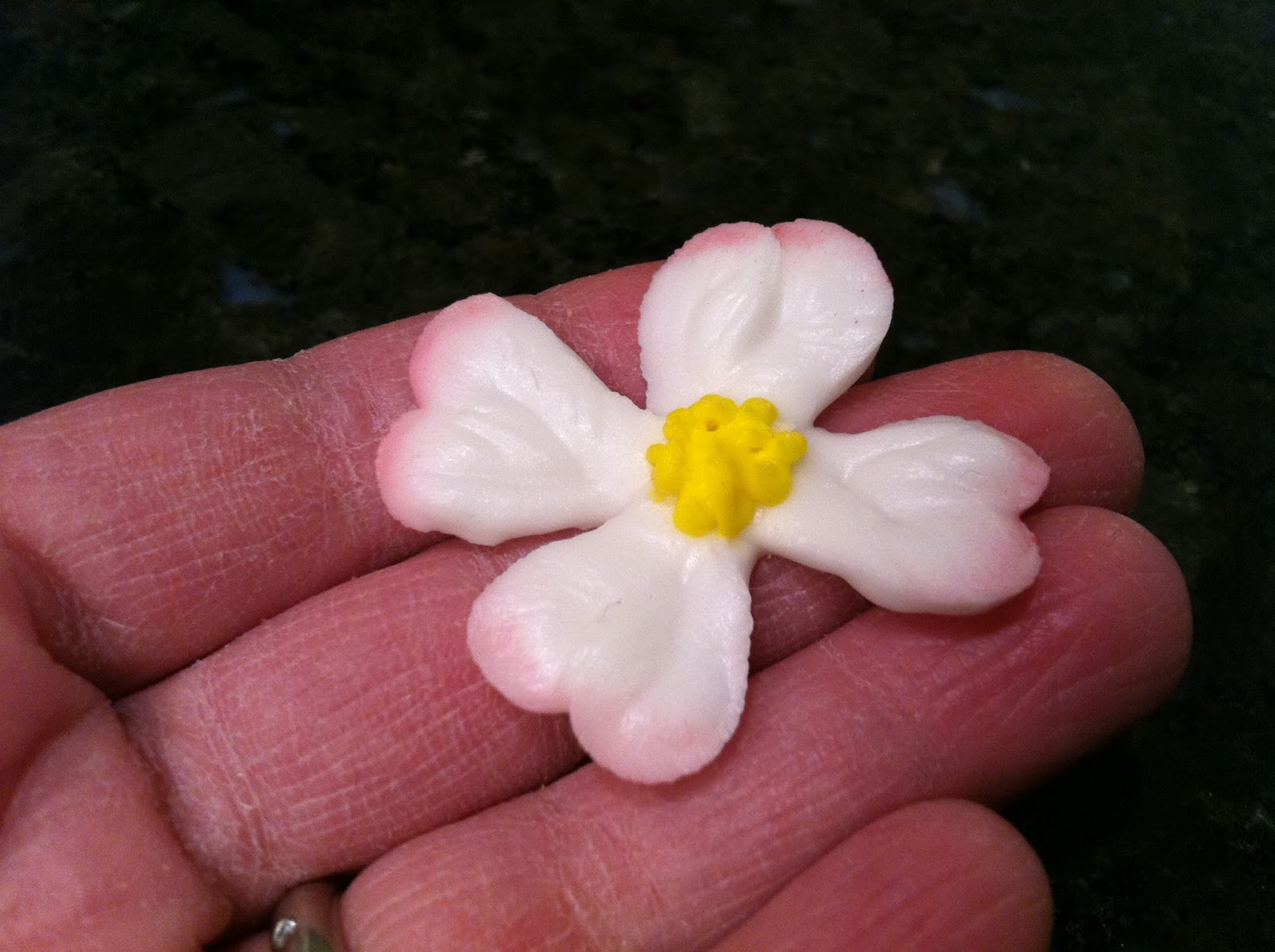 The Iced Queen Piping Dogwood Flowers in Royal Icing