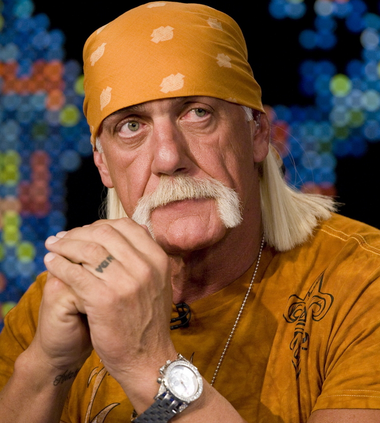 hulk hogan racist rants