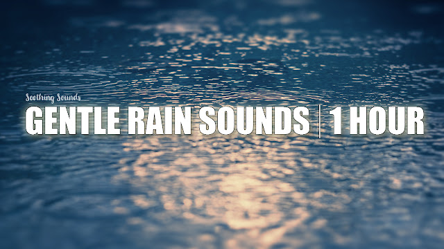  The Sound of Rain - Gentle Sound of Rain to Fall Asleep To