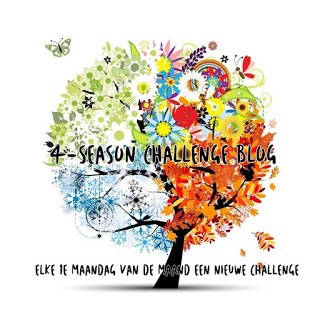 4 Seasons Swap Challenge