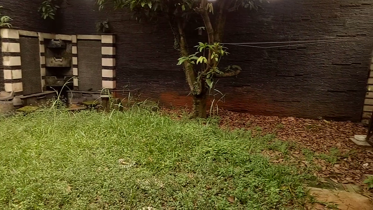 SEWA RUMAH BSD FORESTA CLUSTER ALLEVARE SIAP HUNI HARGA MURAH | Jual