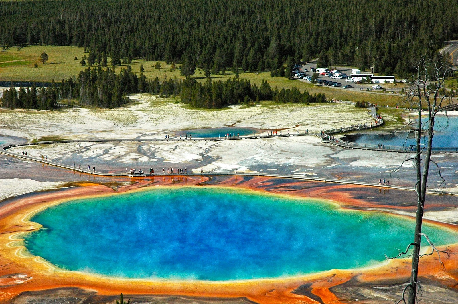 Парк в америке йеллоустоун