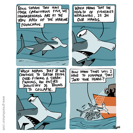 Green Humour Hammerhead Shark Conservation Threats