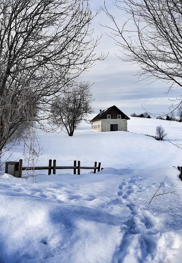 escursioni passeggiate invernali altopiano di asiago