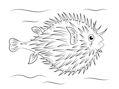 7 best free and easy to print fish coloring pages