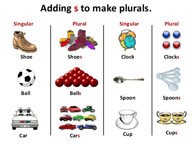 let-s-learn-singular-and-plural-lets-learn-singular-and-plural