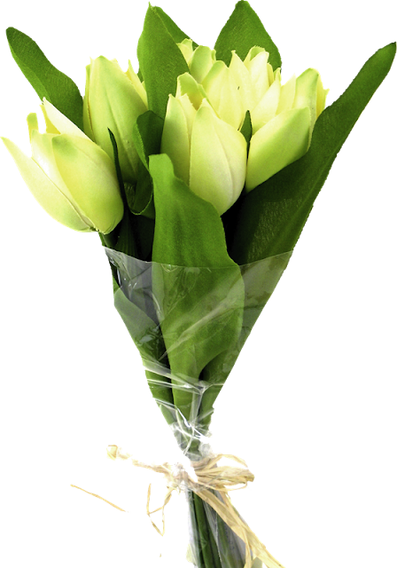 ® Gifs y Fondos Paz enla Tormenta ®: FLORES EN PNG