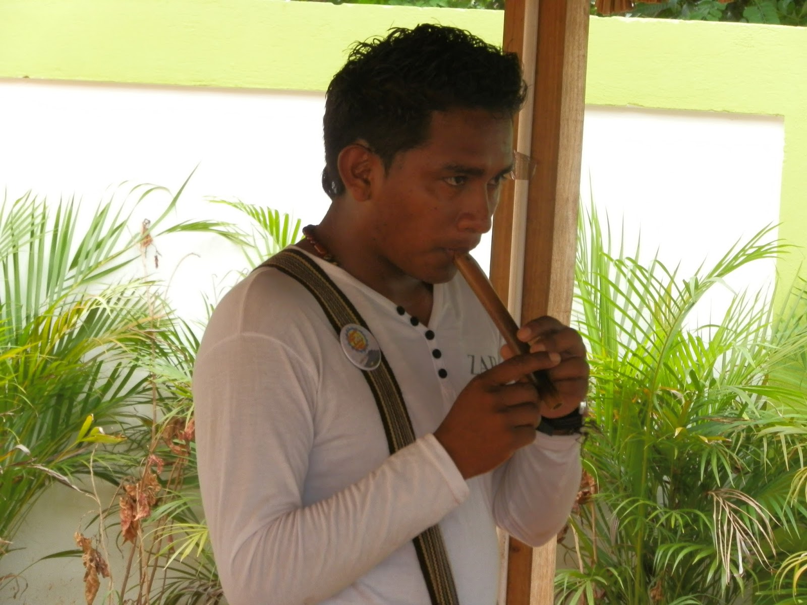 RED DE INVESTIGADORES INDÍGENAS Los instrumentos musicales wayuu