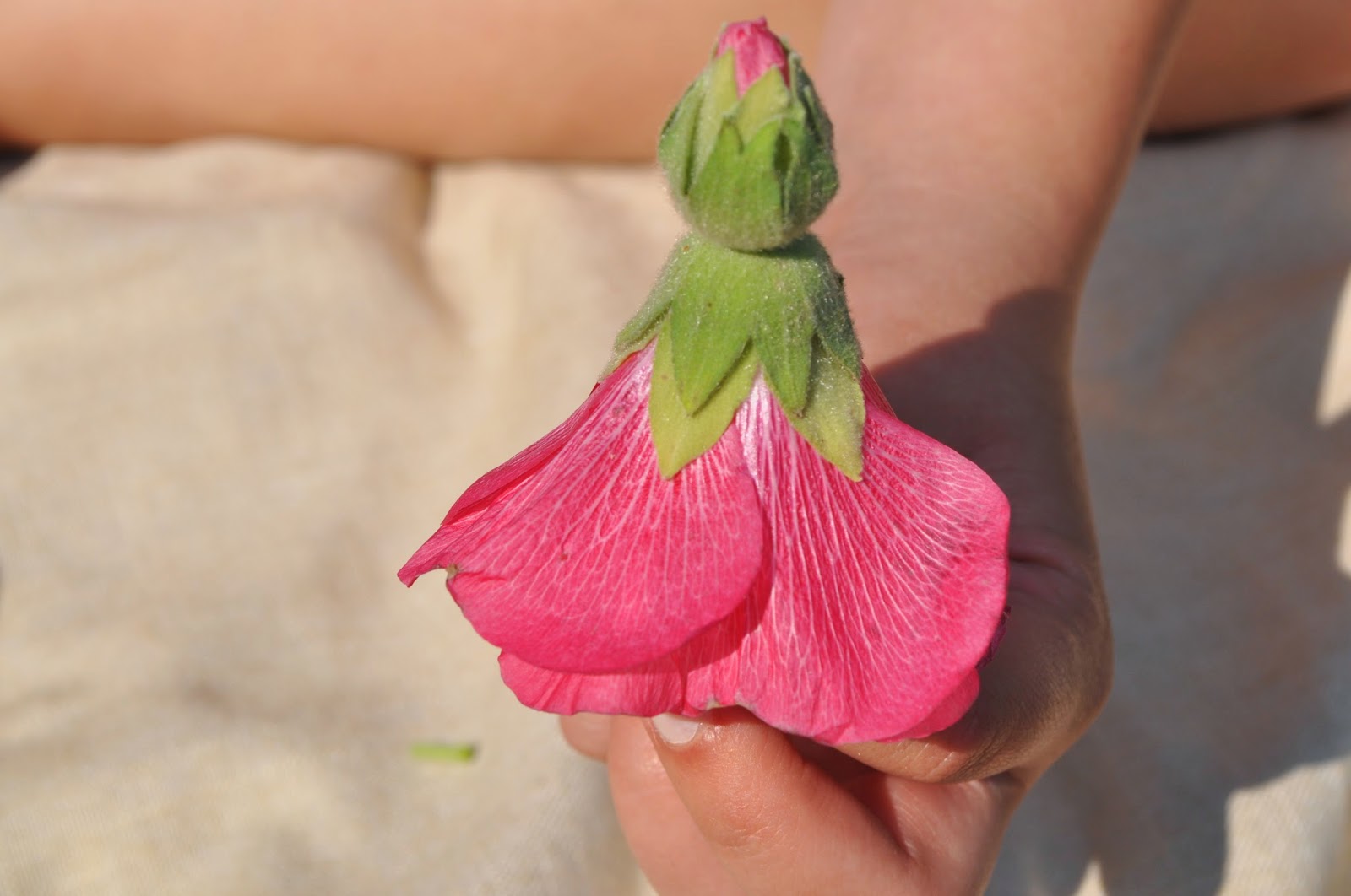 Grassy Branch Farm Hollyhock Dolls