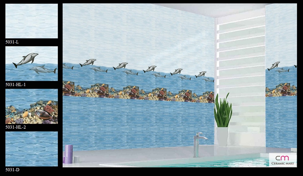 Bathroom Tiles Chhoti khatu , Nagaur , Rajasthan