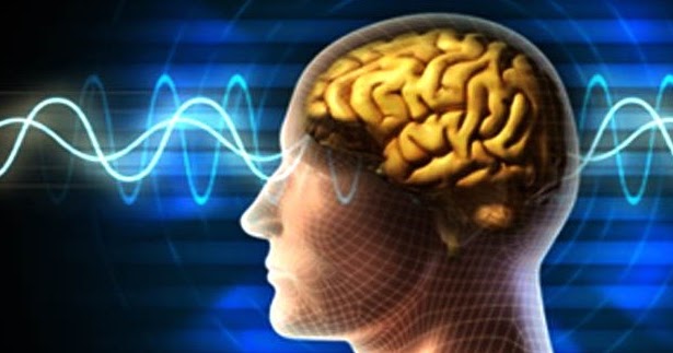 Soal Pilgan Sistem Regulasi Koordinasi Jawaban Muttaqin Id