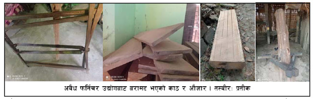 वनकर्मीको मिलेमतोमा अवैध फर्निचर उद्योग