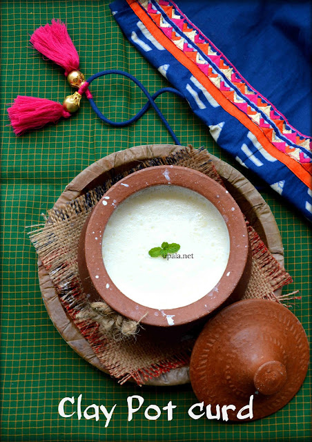 How to make thick Curd/Yogurt/Dahi in a clay pot?