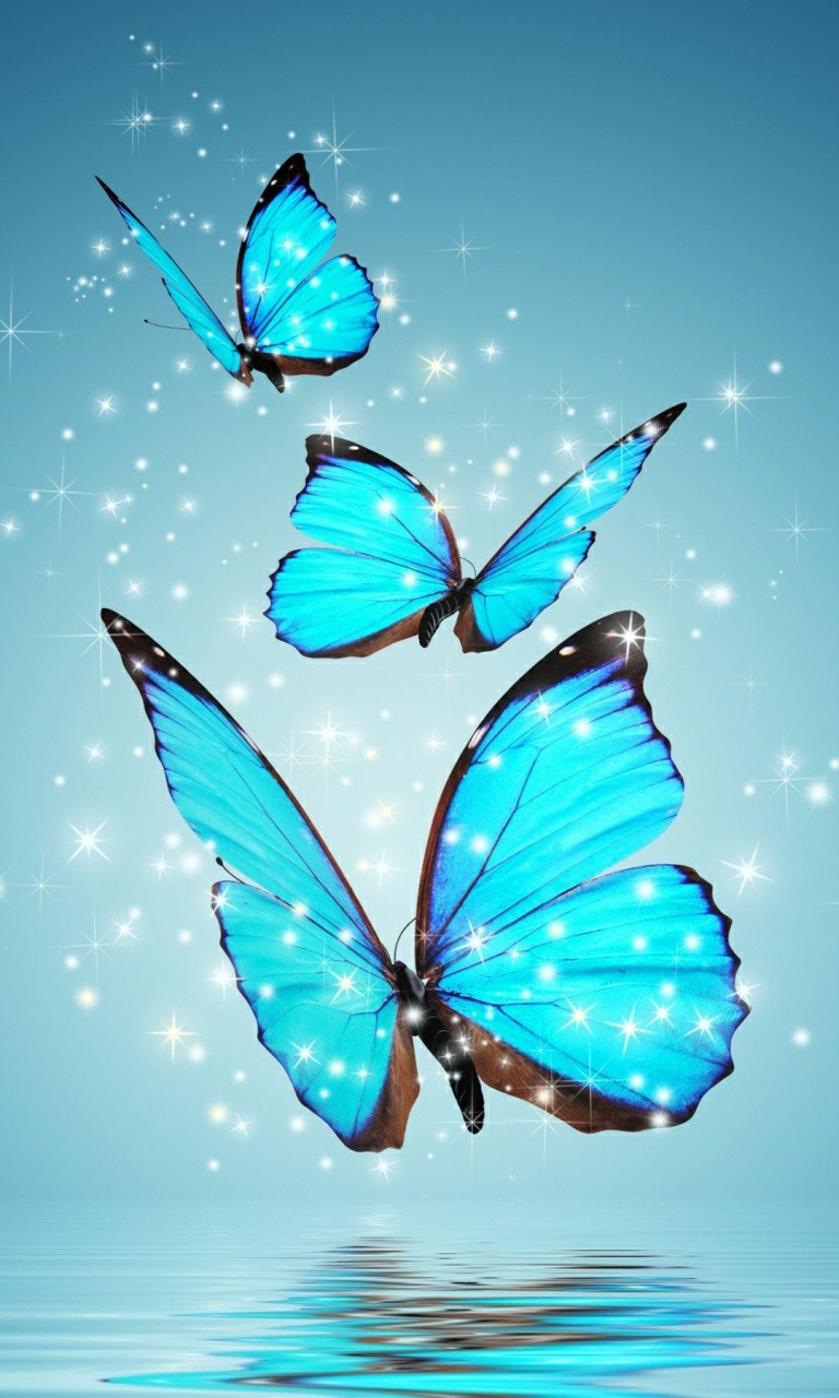 hình nền máy tính