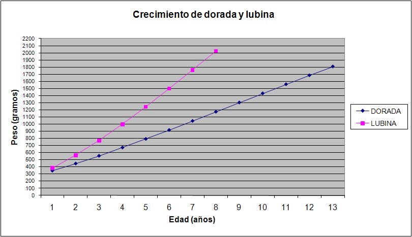 GRÁFICA DE CRECIMIENTO DORADA Y LUBINA