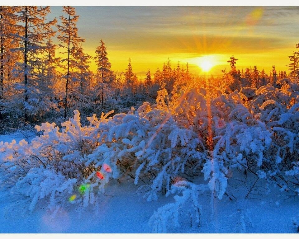 Снежный день Снежный день