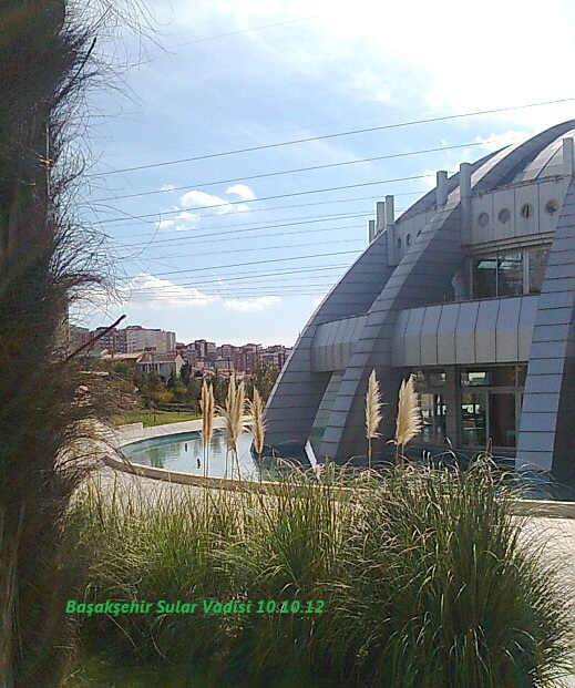 Murat Mesut: Ekim 2012