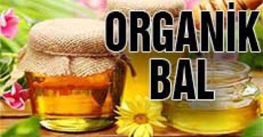 aksaray organik bal aksaray organik bal