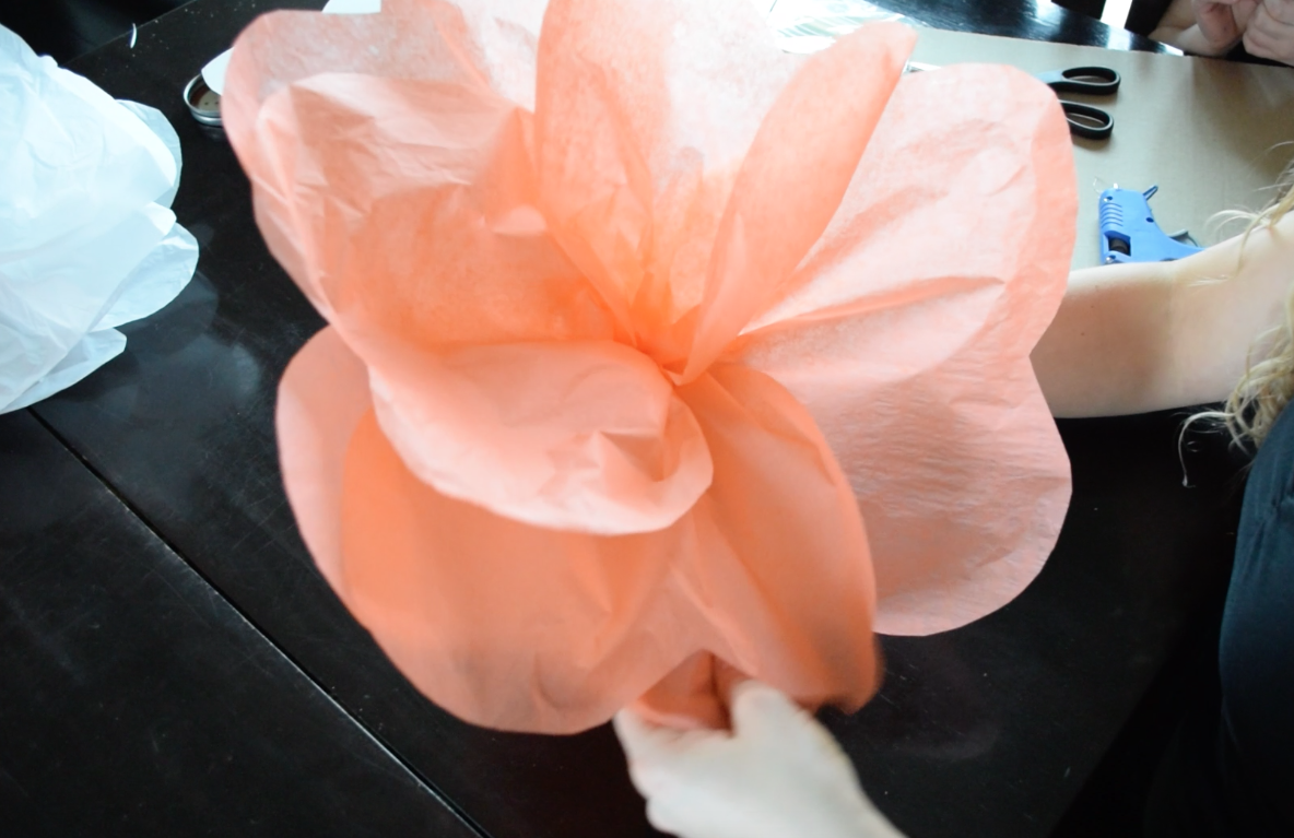 Ashley's Green Life How to Make Large Tissue Flowers