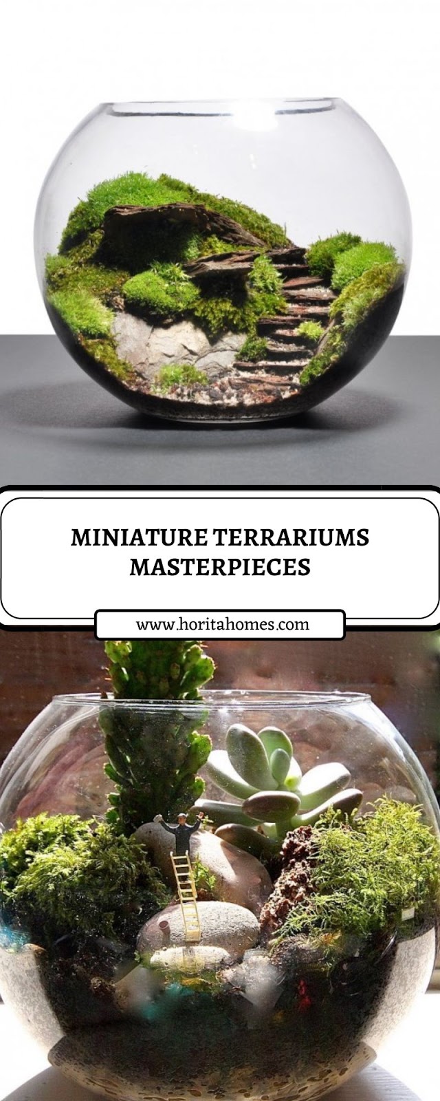 MINIATURE TERRARIUMS MASTERPIECES MINIATURE TERRARIUMS MASTERPIECES