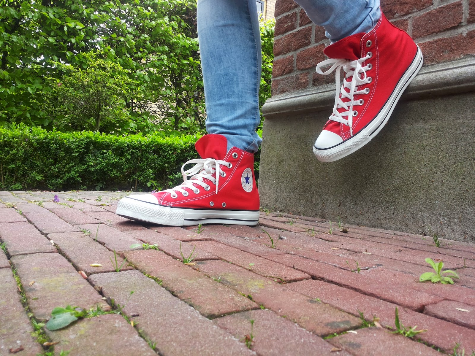 Dinozor onlarca telif hakkı rode converse all stars - snacks2home.com