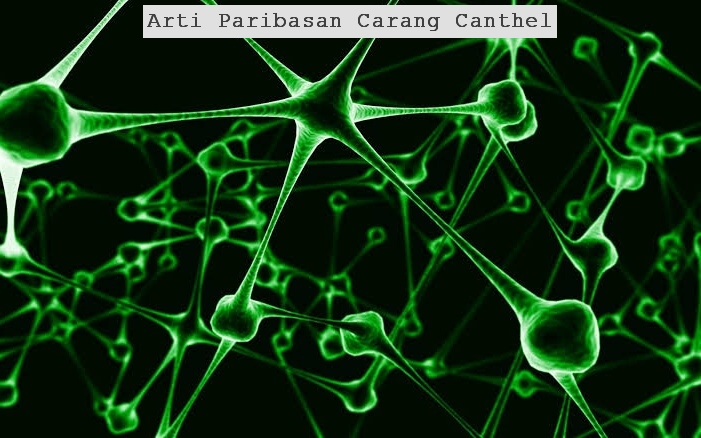 Arti Paribasan Carang Canthel Jangka Jawa