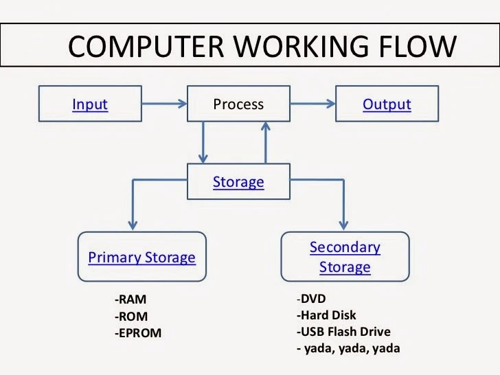 Panduan Lengkap CPU: Fungsi, Jenis, & Cara Memilih