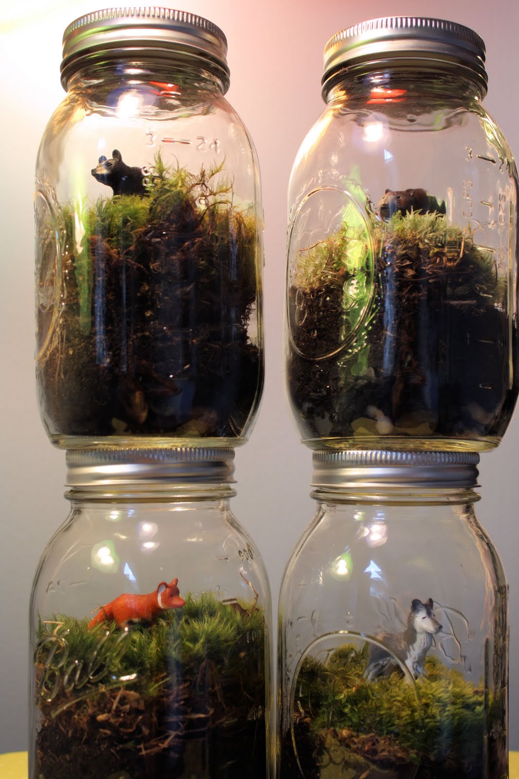 Wedding (Version 2.0) Terrarium Wedding Centerpieces