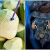 Pag-Inom Ng Buko Juice, Gamot Sa Urinary Tract Infection (UTI)