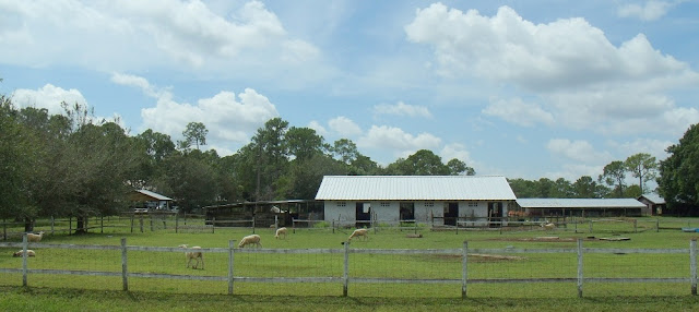 Ranchos Ranchos