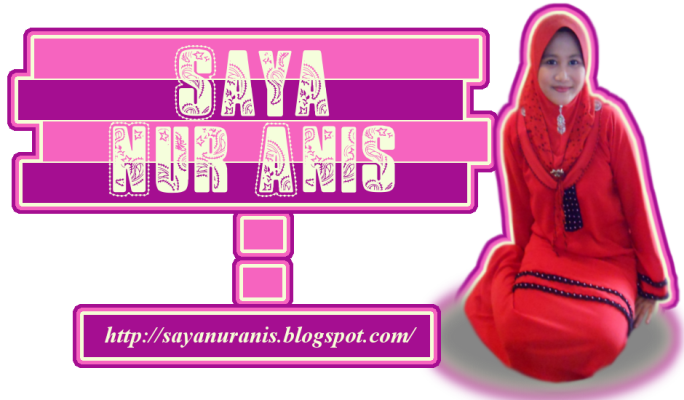 saya nur anis